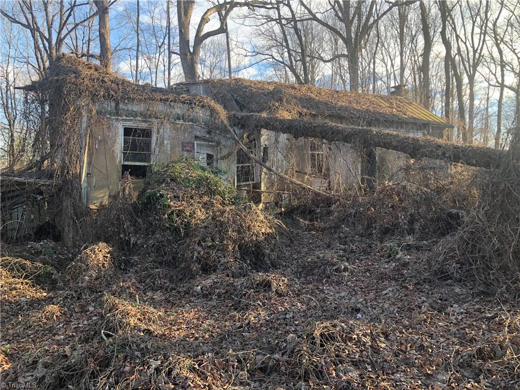 A tree has fallen through the roof. 