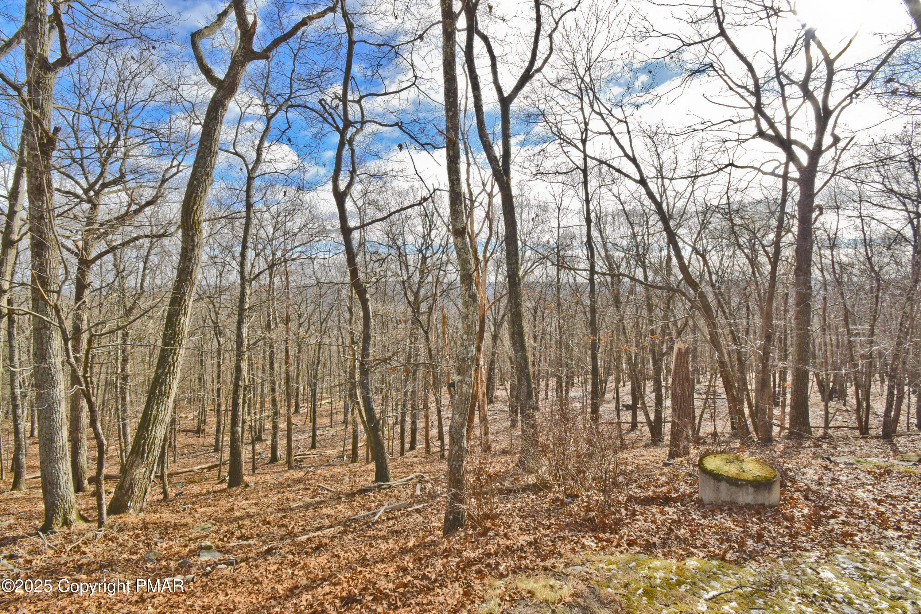 154 Hummingbird Trail Bushkill, PA 18324 - Photo 27 of 33 13 Back (3)