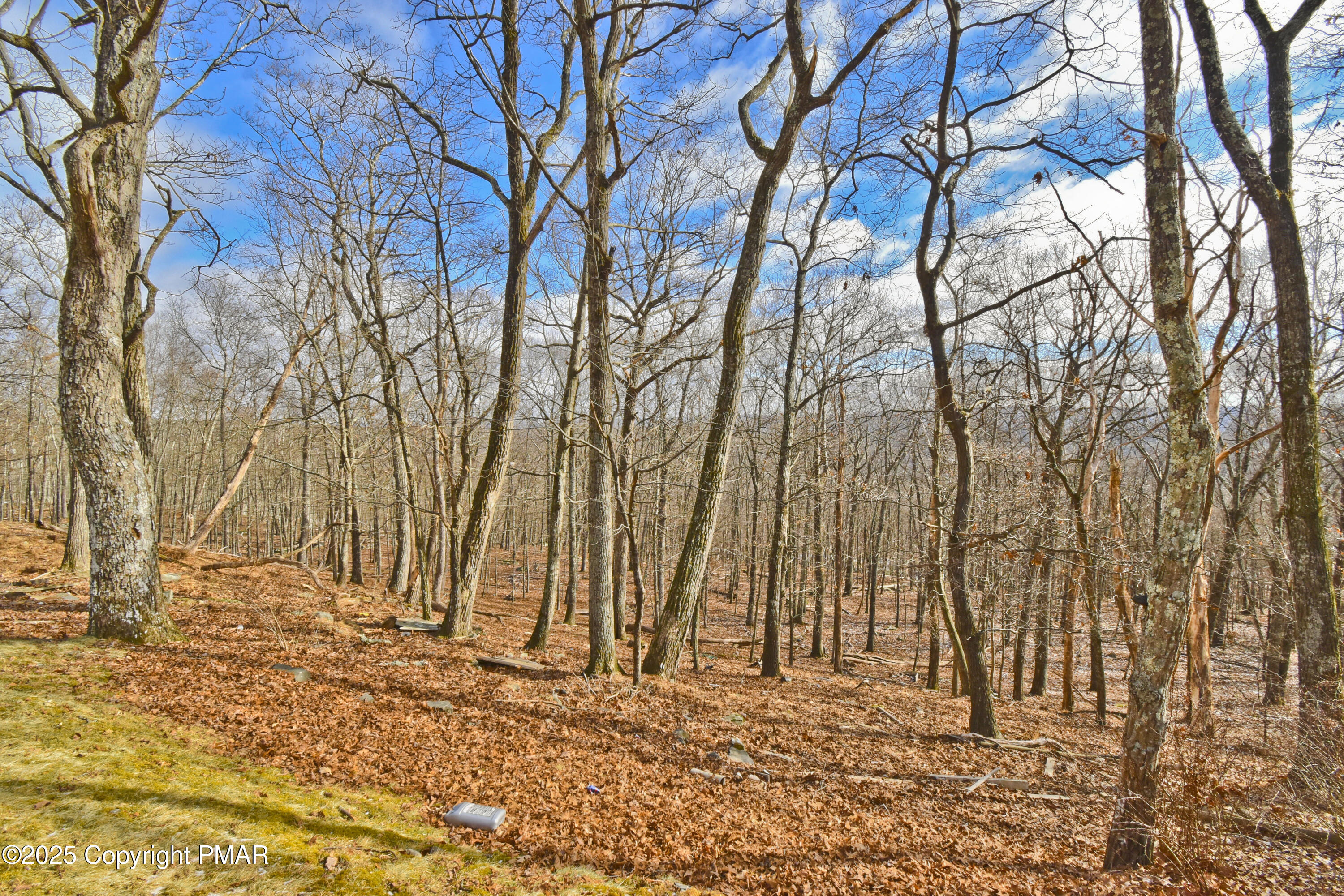 154 Hummingbird Trail Bushkill, PA 18324 - Photo 28 of 33 13 Back (4)