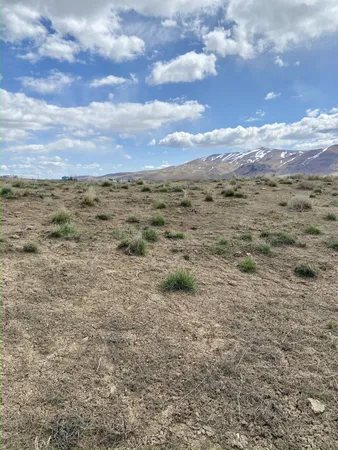 $11,000 | 1-acre 1-acre Lance Drive, Elko, NV 89801