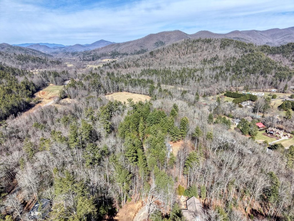 6730 Hi Land Road Hiawassee, GA 30546 - Photo 28 of 31 Gallery Image 28