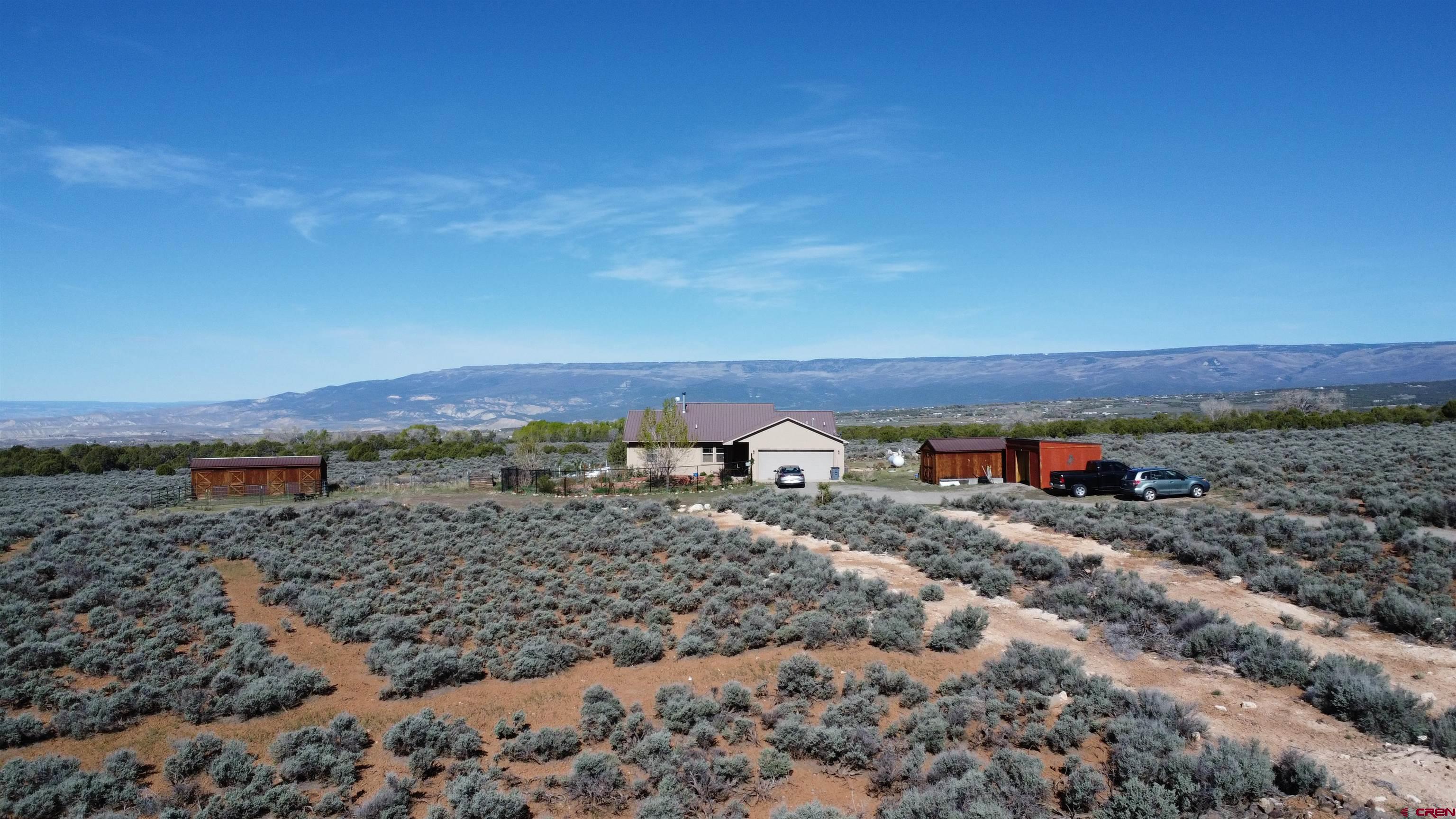 14617 2800th Road Hotchkiss, CO 81419 - Photo 34 of 37 a view of a dry yard with trees