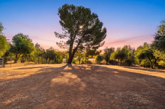 a view of road and trees