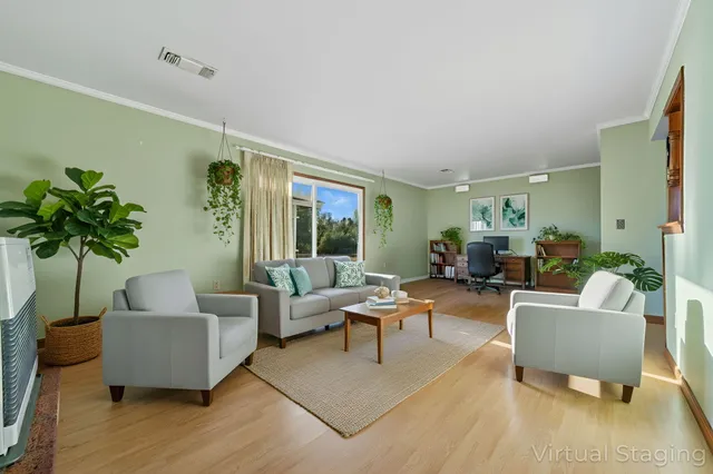 a living room with furniture and a potted plant