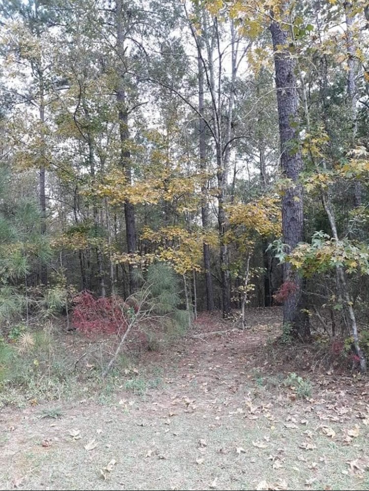 374 Manta Road Cusseta, GA 31805 - Photo 42 of 49 Gallery Image 42