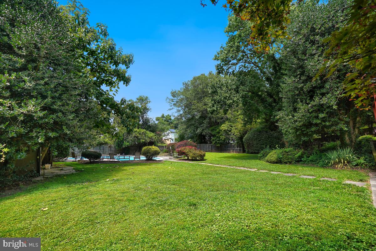14320 Cantrell Road Silver Spring, MD 20905 - Photo 8 of 45