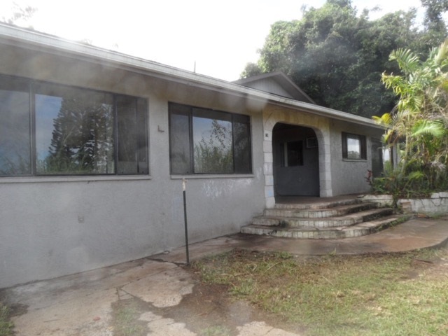 a view of a house with a small yard and large tree
