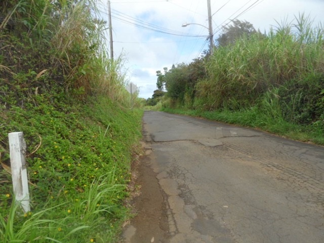 120 Peahi Road Haiku, HI 96708 - Photo 23 of 26 a view of a pathway both side of yard