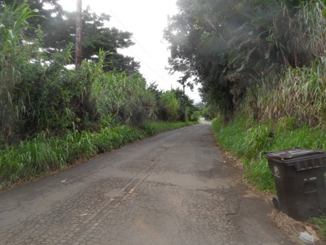 120 Peahi Road Haiku, HI 96708 - Photo 24 of 26 a view of a dirt road with trees in the background