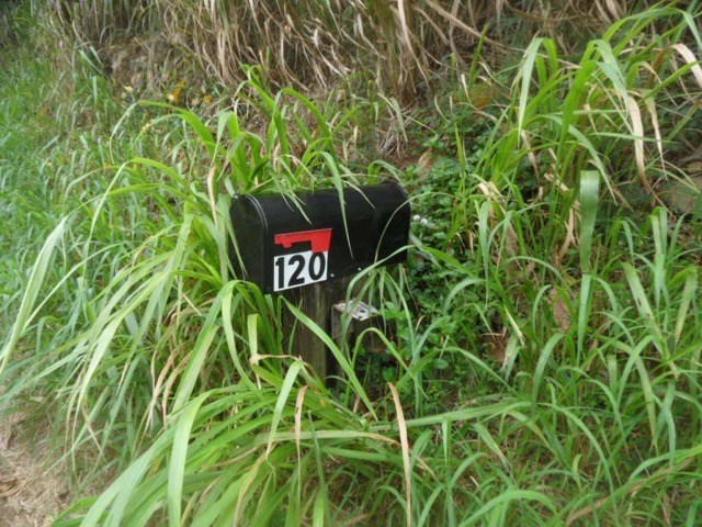 120 Peahi Road Haiku, HI 96708 - Photo 25 of 26 a sign that is sitting in the tall trees