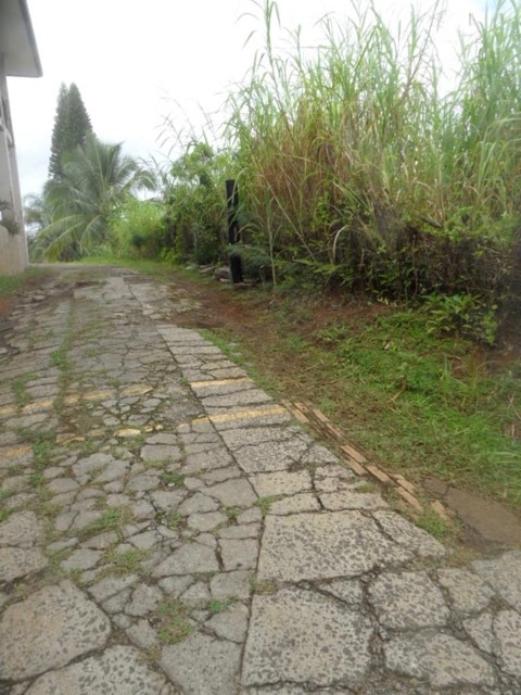 120 Peahi Road Haiku, HI 96708 - Photo 26 of 26 a view of a backyard
