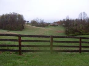 511 Berry Ridge Road Jonesborough, TN 37659 - Photo 4 of 12 Fenced Pasture Land