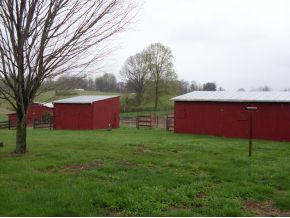 511 Berry Ridge Road Jonesborough, TN 37659 - Photo 5 of 12 Established 2nd 3rd Sheltor