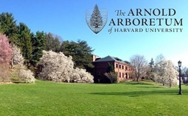 91 Bynner Street, Unit 1 Boston, MA 02130 - Photo 27 of 35 a view of garden