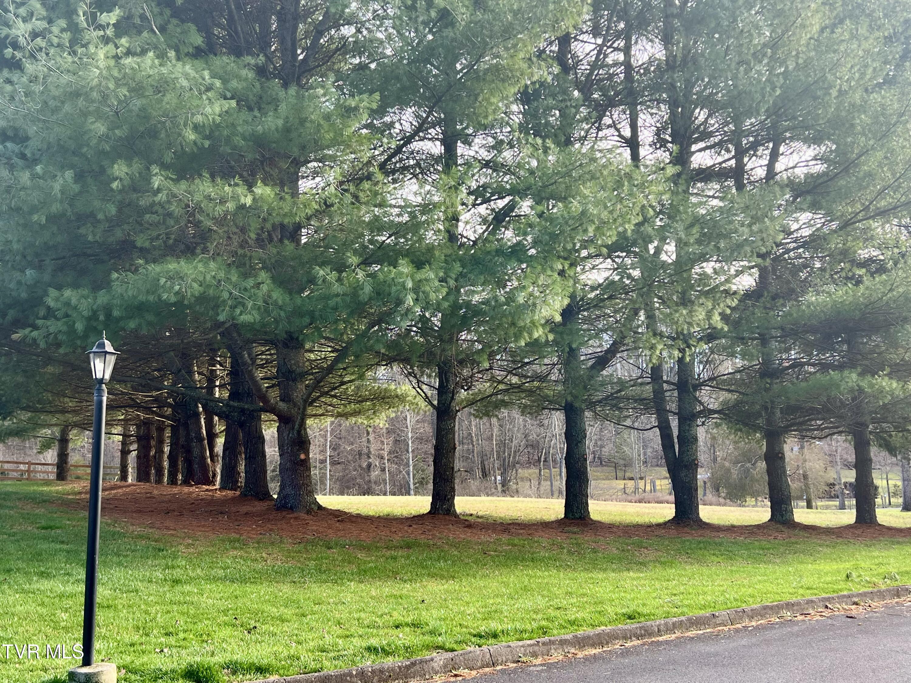 254 Booher Road, Unit C2 Bristol, TN 37620 - Photo 3 of 34 IMG_5948