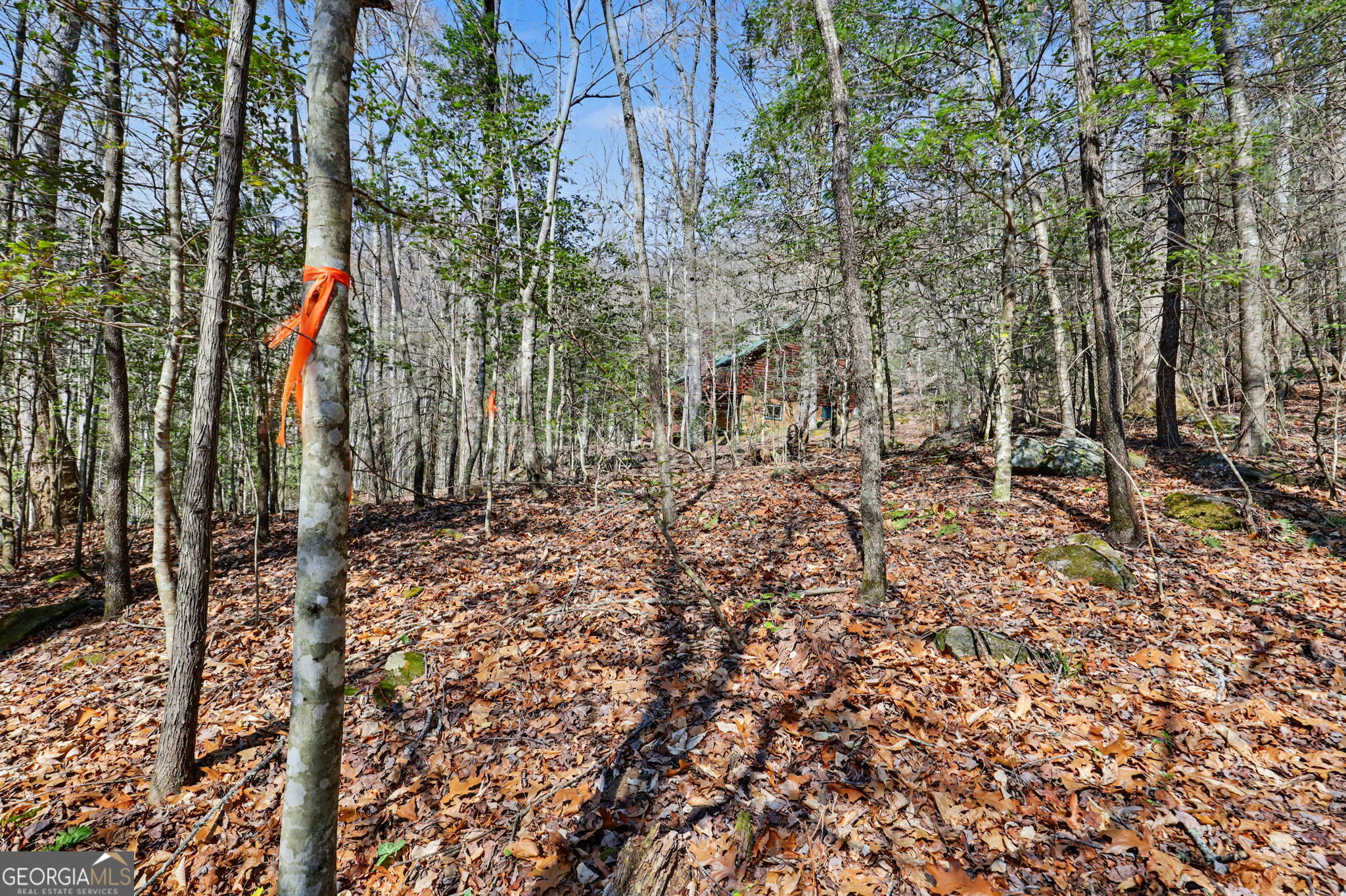 182 Blueberry Lane Rabun Gap, GA 30568 - Photo 37 of 40