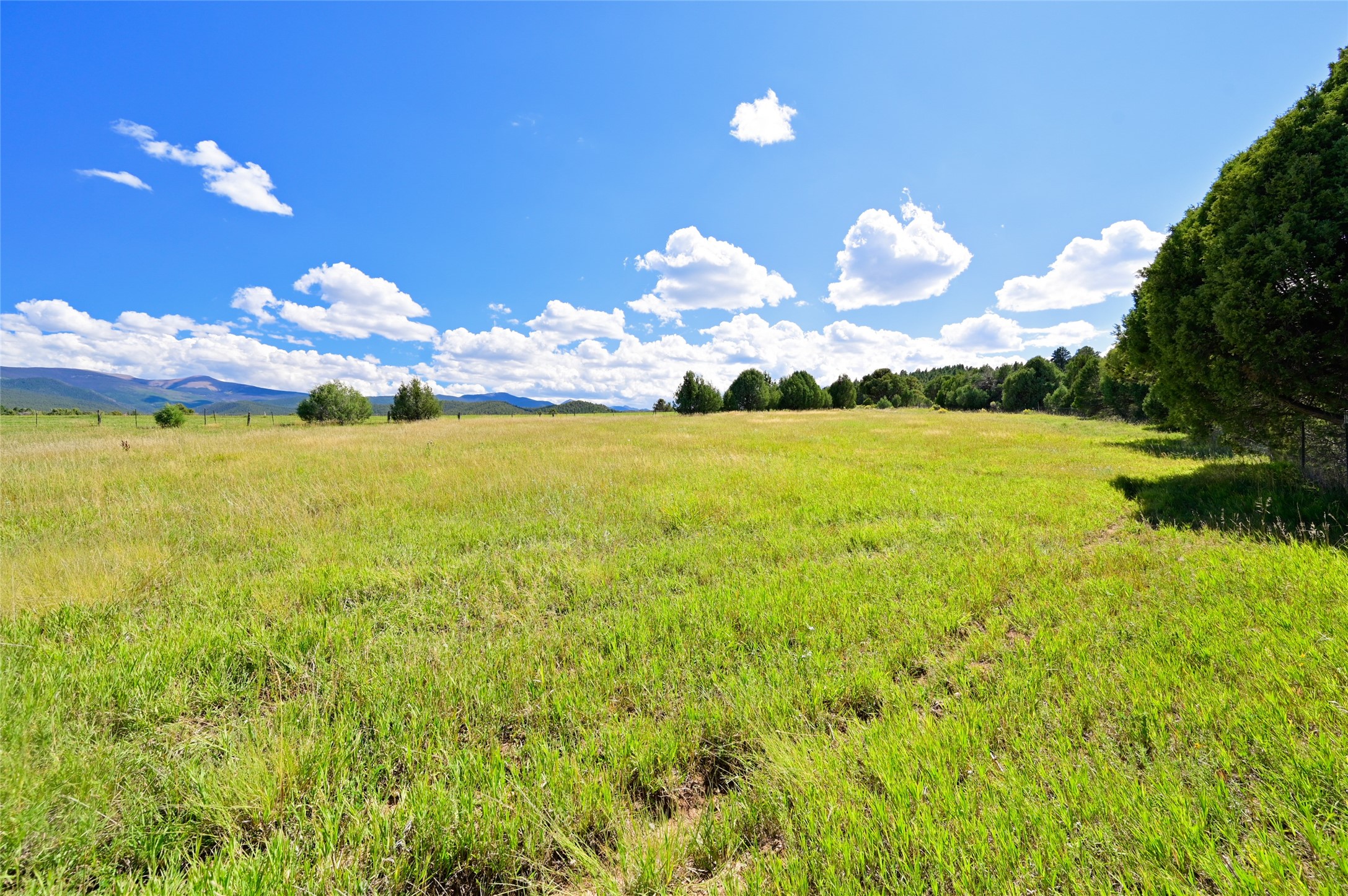 157 Pacheco Road Llano, NM 87543 - Photo 82 of 94