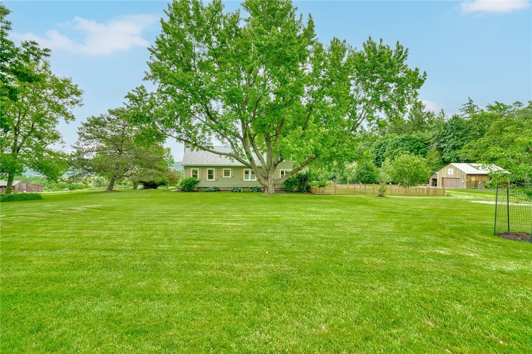 4343 Elm Tree Road Bloomfield, NY 14469 - Photo 4 of 50
