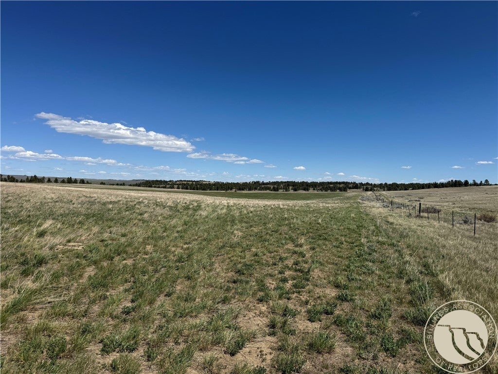 389 Number 4 Road Roundup, MT 59072 - Photo 20 of 45 Gallery Image 20