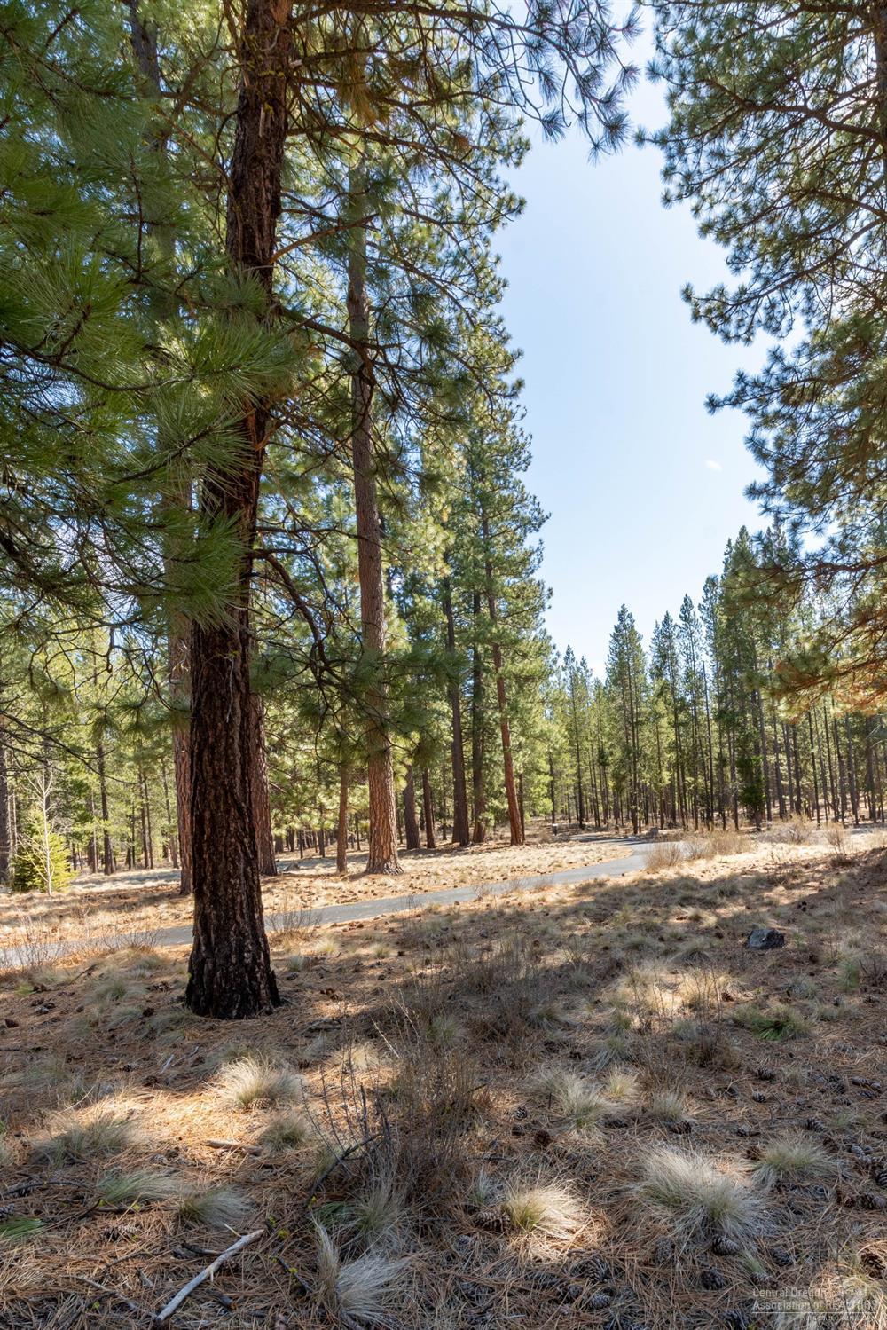 56149 Sable Rock Loop Bend, OR 97707 - Photo 6 of 10 Additional Photo