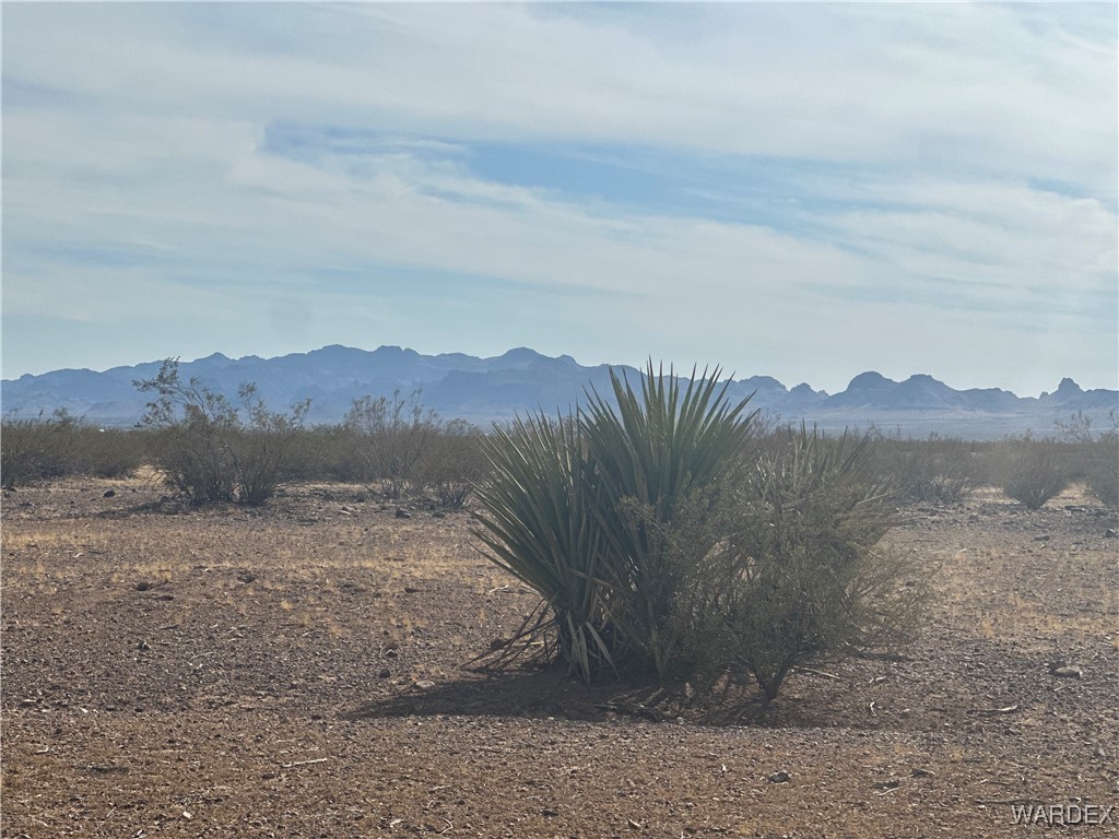 0 North Carrizo Road Golden Valley, AZ 86413 - Photo 17 of 25 View