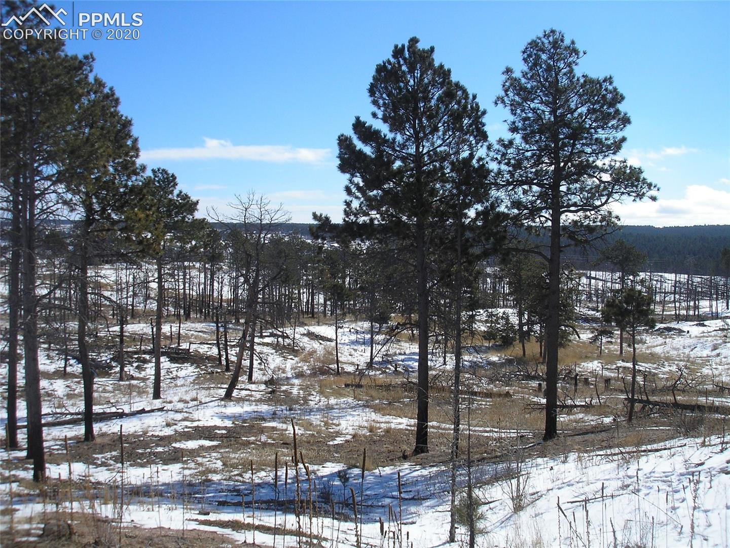 12975 Holmes Road Colorado Springs, CO 80908 - Photo 1 of 10