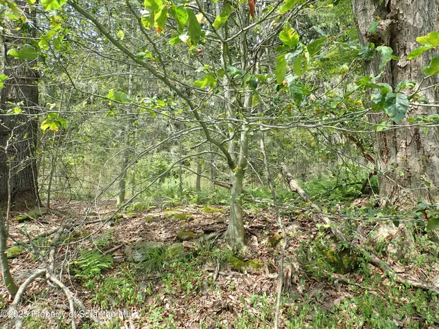 $49,999 | Lot 3 State Route 171, Thompson, PA 18465