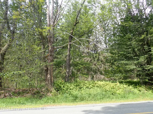 $49,999 | Lot 3 State Route 171, Thompson, PA 18465