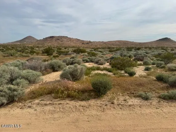 a view of a dry yard with mountains in the background