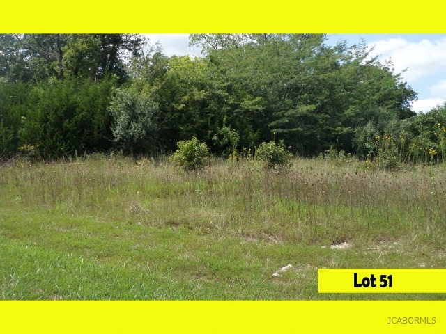 51 Renns Lake Road Jefferson City, MO 65109 - Photo 1 of 1