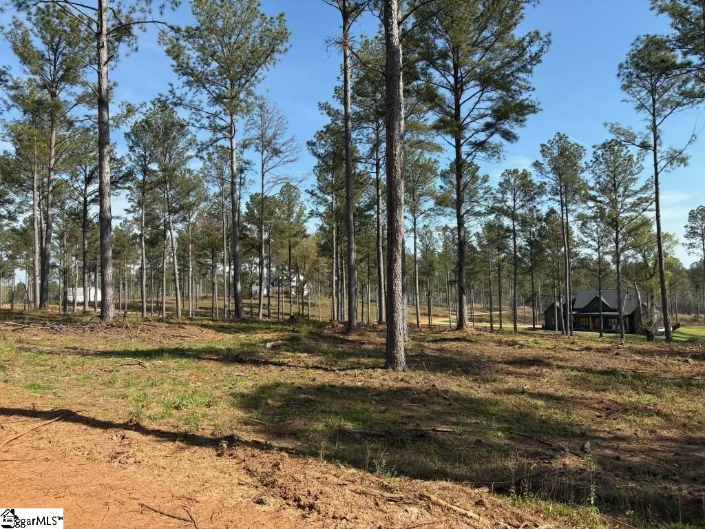 330 Berry Road Pelzer, SC 29669 - Photo 2 of 8