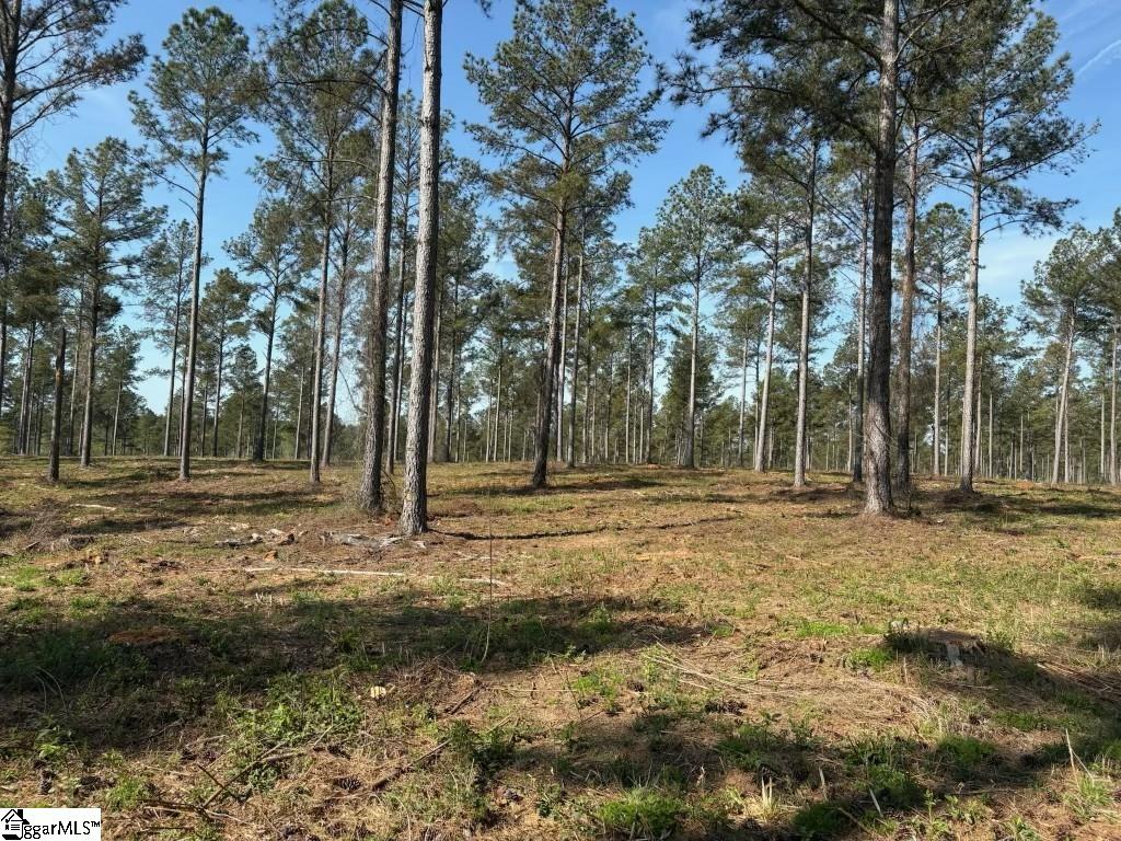 330 Berry Road Pelzer, SC 29669 - Photo 3 of 8