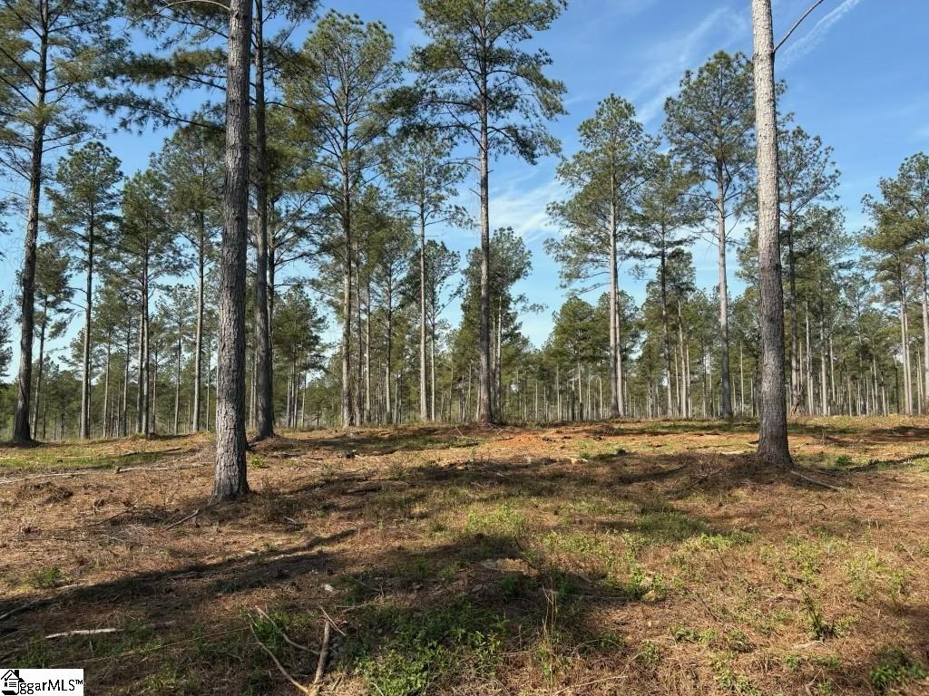 330 Berry Road Pelzer, SC 29669 - Photo 4 of 8