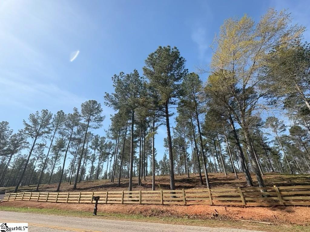 330 Berry Road Pelzer, SC 29669 - Photo 5 of 8