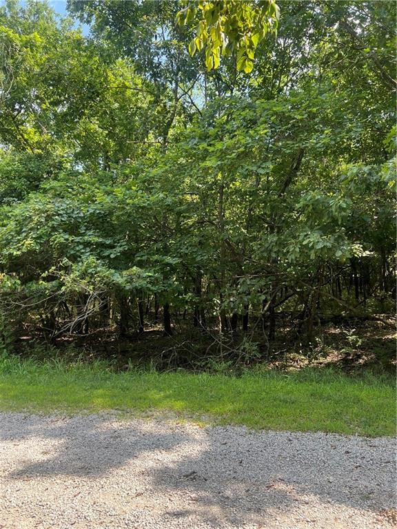 6 Misty Lane Lacygne, KS 66040 - Photo 4 of 16