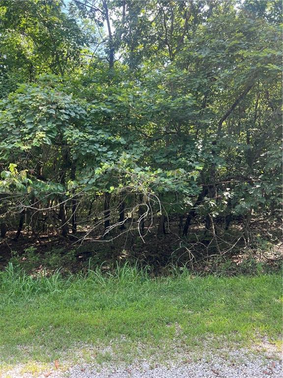 6 Misty Lane Lacygne, KS 66040 - Photo 5 of 16