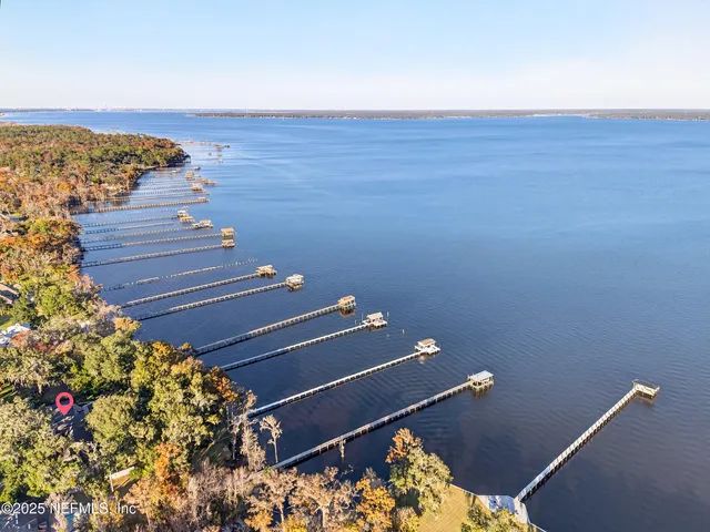 a plant that is in front of a house