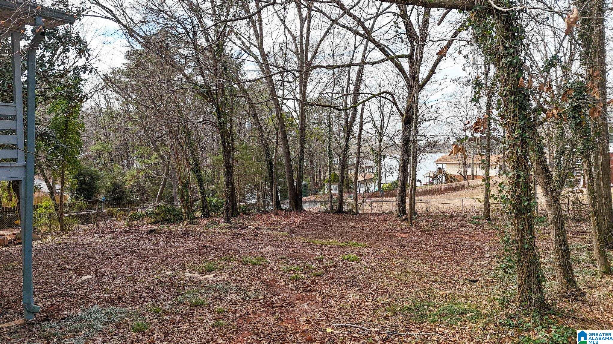 440 Funderburg Bend Road Pell City, AL 35128 - Photo 8 of 39