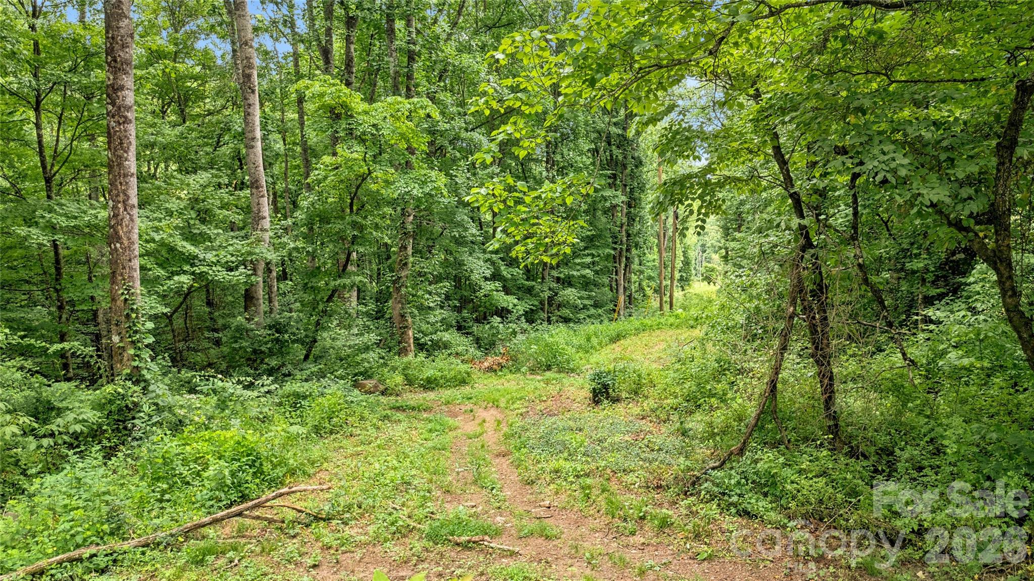 0 Fisher Creek Road Sylva, NC 28779 - Photo 9 of 18