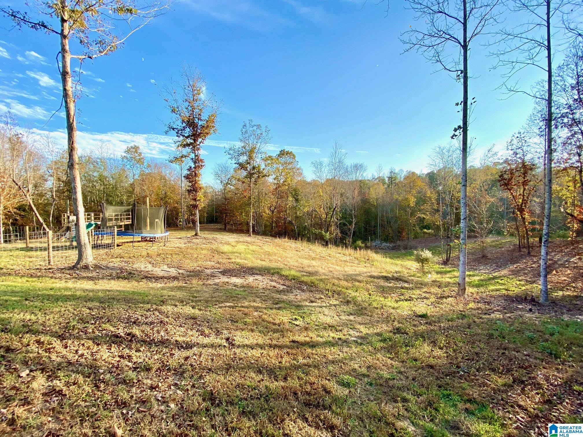325 County Road 13 Heflin, AL 36264 - Photo 6 of 56