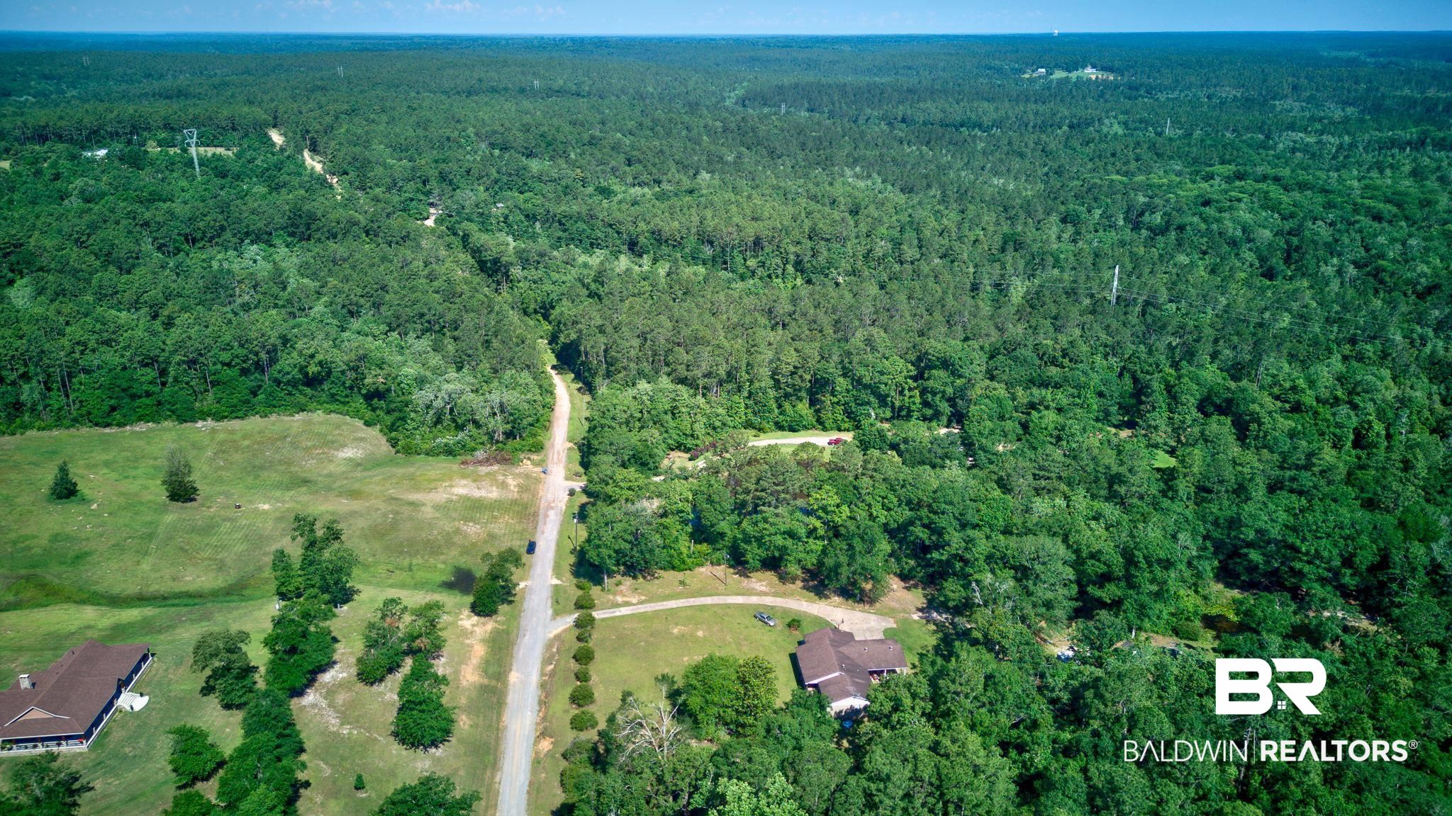 0 Evans Road Chunchula, AL 36521 - Photo 11 of 19
