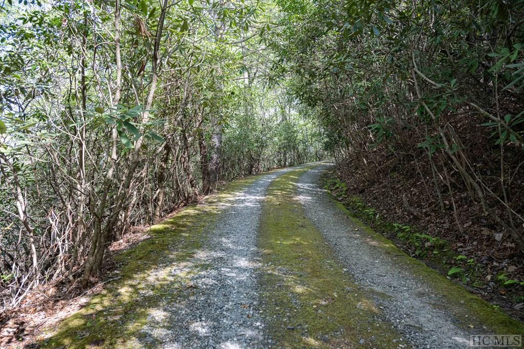 688 Caney Fork Road Cullowhee, NC 28723 - Photo 50 of 65 Gallery Image 50
