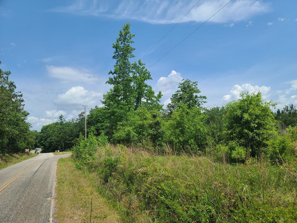 0 Rembert Church Road Dalzell, SC 29040 - Photo 14 of 20 Gallery Image 14