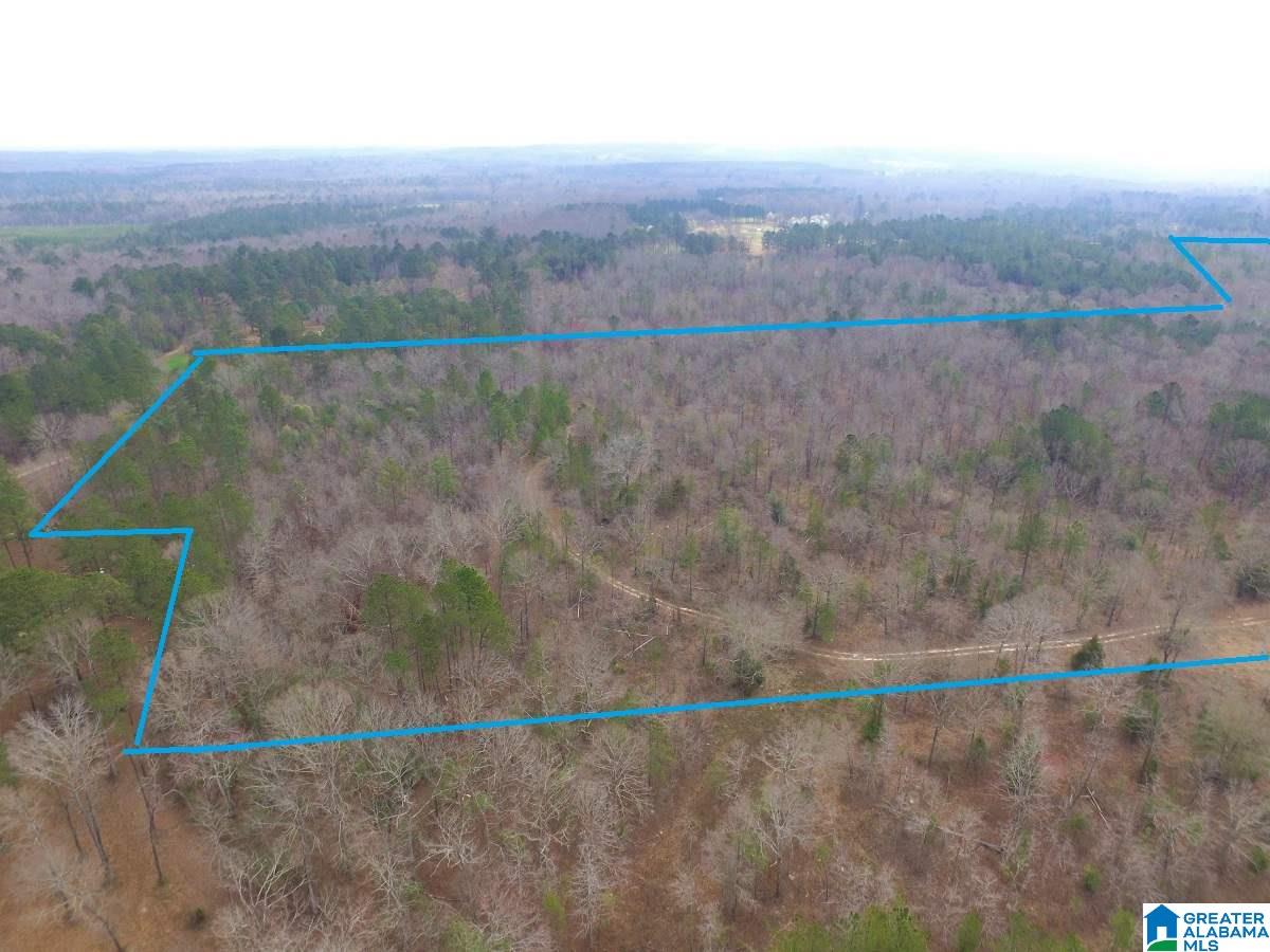 0 Melissa Robyn Road, Unit 1 Deatsville, AL 36022 - Photo 24 of 29