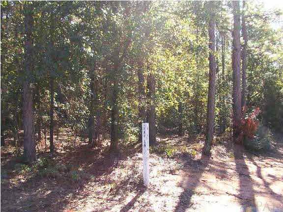 1 Windham Road Milton, FL 32570 - Photo 1 of 1 a view of a forest with trees