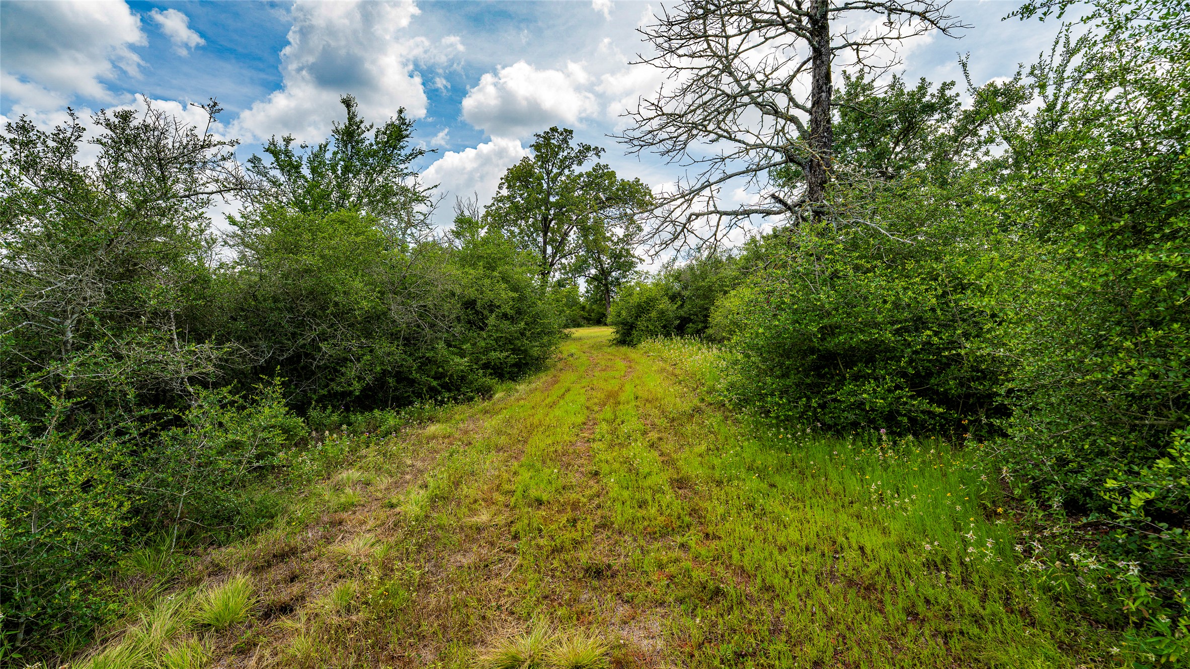 1470 22 Hills Road Gause, TX 77857 - Photo 30 of 35 A tranquil path winds through a natural landscape, offering a private retreat into the wilderness.