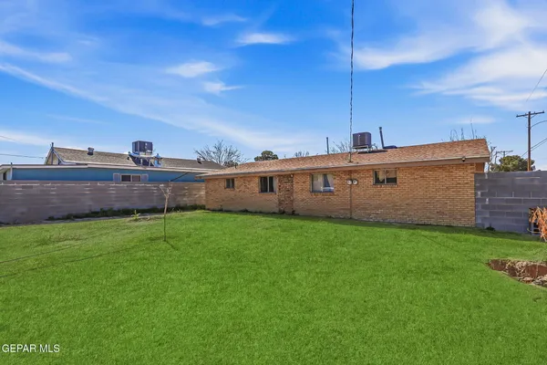 a view of a backyard with plants and a garden
