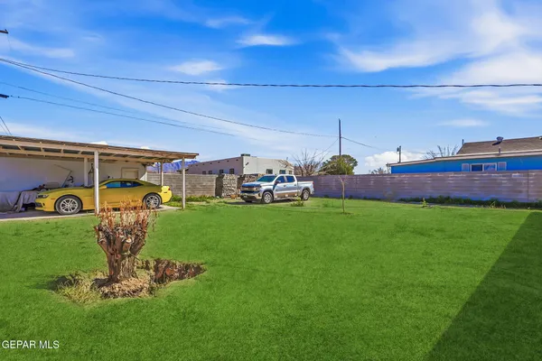 a view of a backyard
