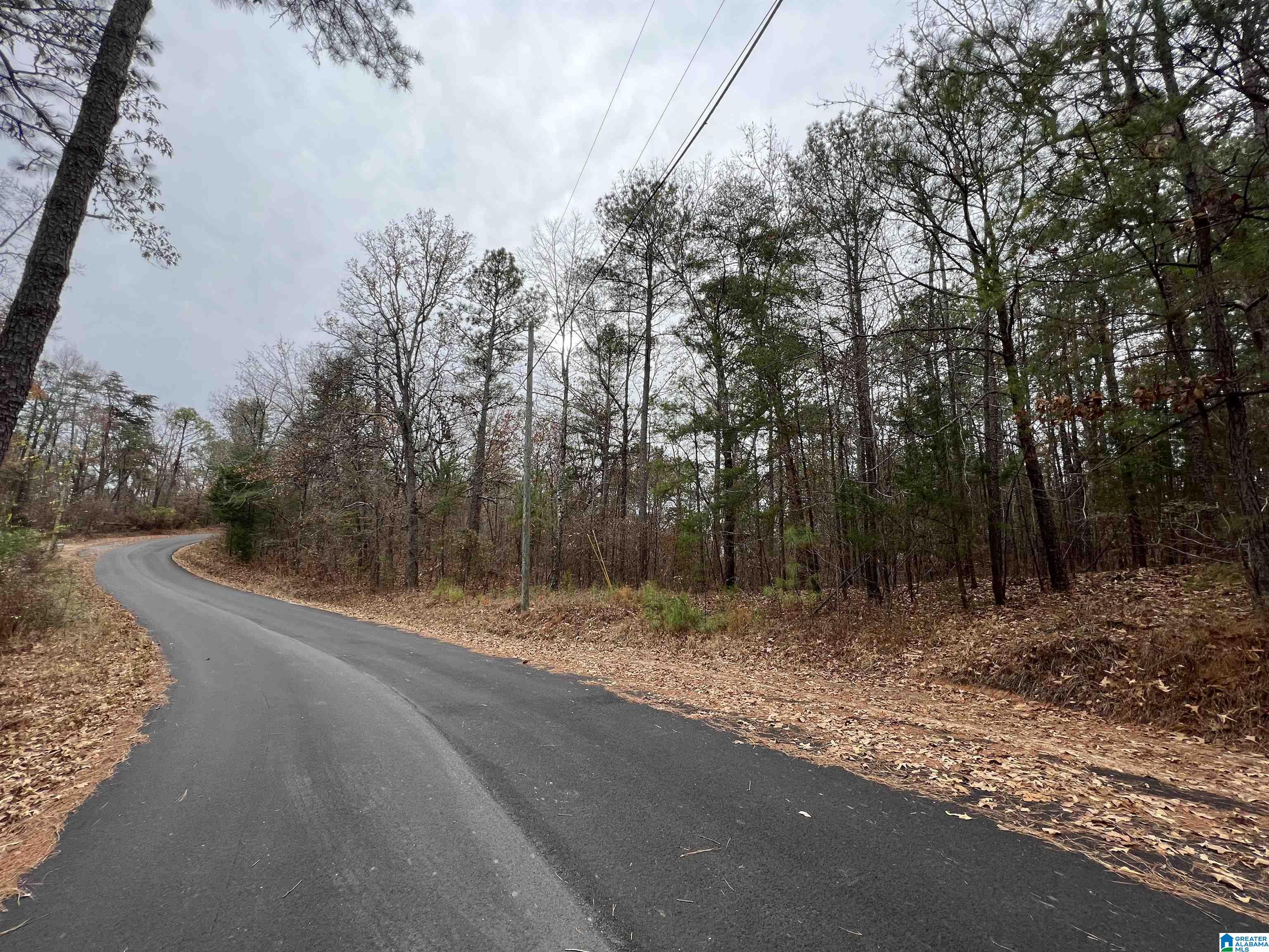 0 Mountain View Circle, Unit 35 Vance, AL 35490 - Photo 5 of 5