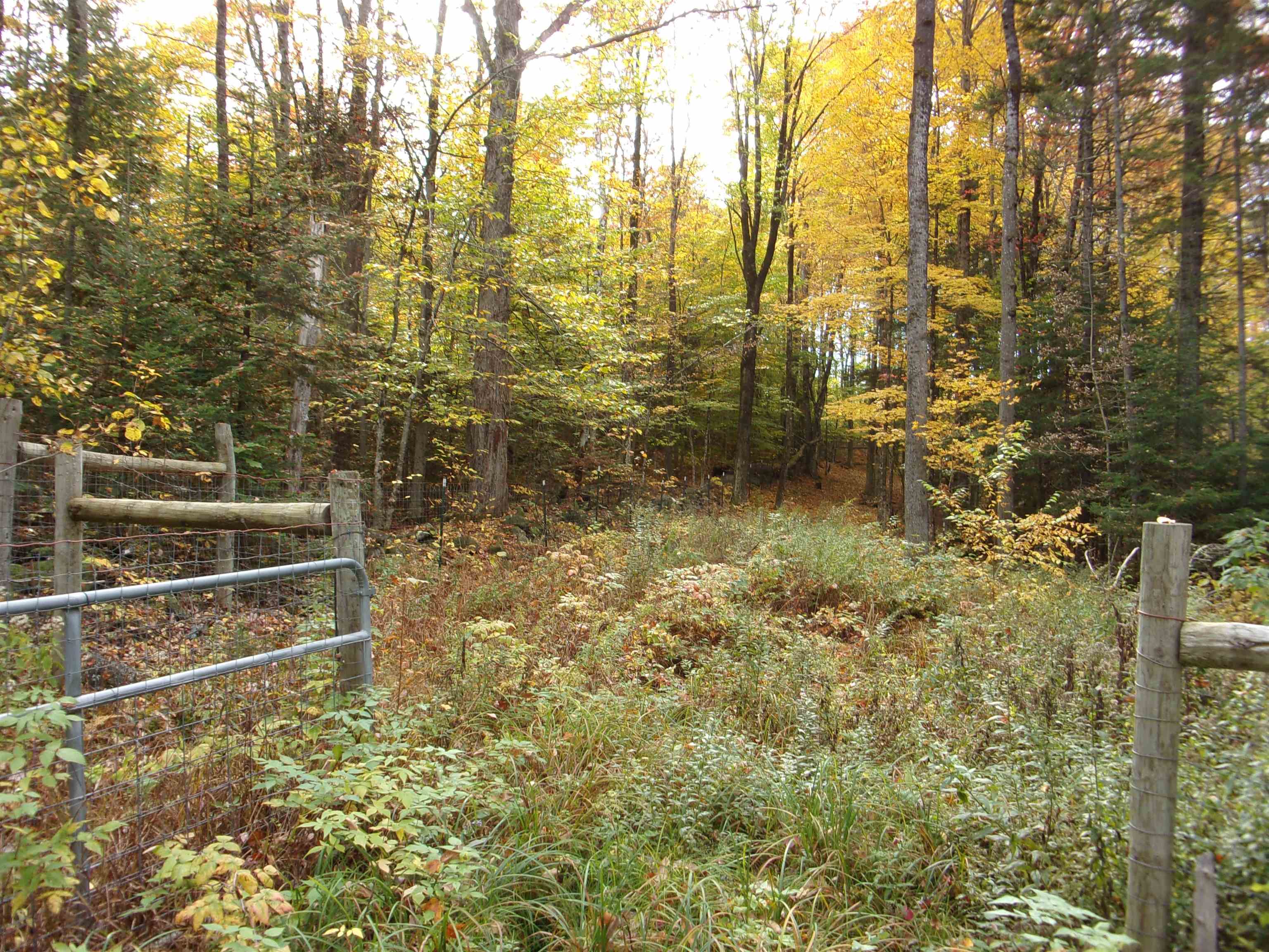 95 Edgar Albert Road Rumney, NH 03266 - Photo 39 of 40 Gallery Image 39